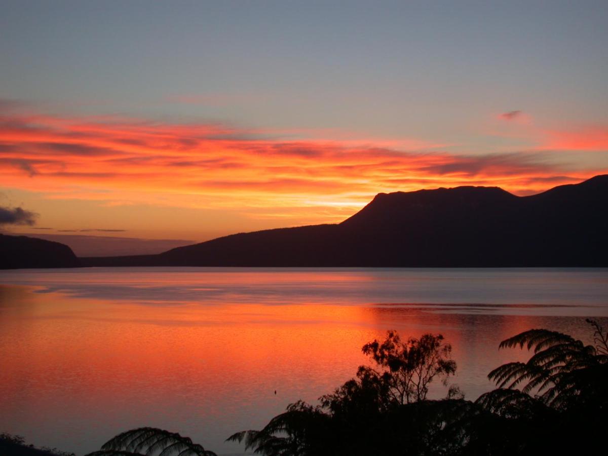 Te Whare -Lake Tarawera Tree-Top Nest Exterior photo